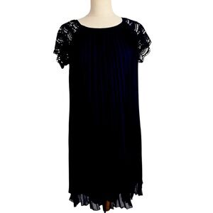 Zara Black Lace Sleeve Dress NEW